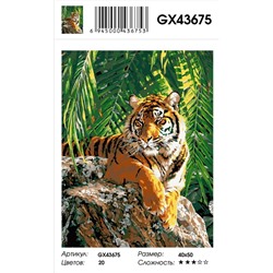 Картина по номерам на холсте GX43675